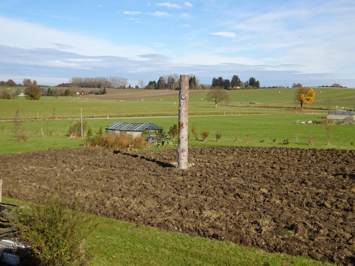 Palmengarten Finning Eksteriør billede